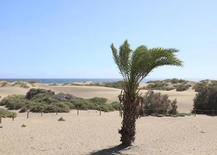 Dunas * بلايا ديل إنغلز